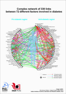 IMAGE: Complex network of 330 links between 72 different factors involved in Type 2 Diabetes